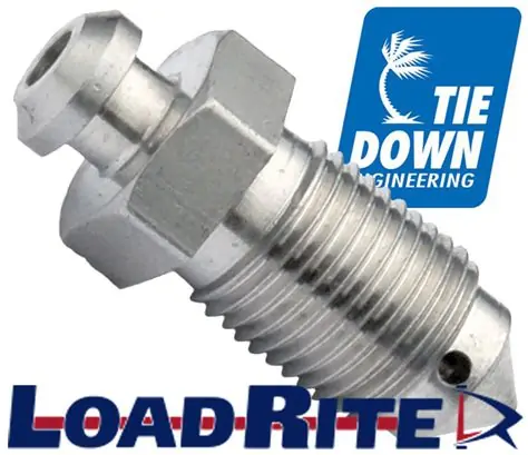 check valve brake bleeder